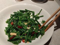 -杨氏青龙虾·羊蝎子(珠江路店)