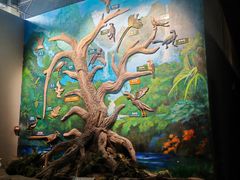 -辽宁古生物博物馆