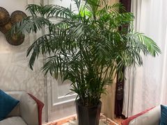 -洛阳宴·洛阳菜(南昌路店)