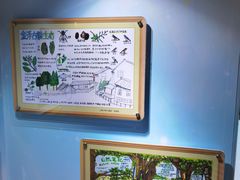 -上海昆虫博物馆