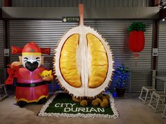 -都念榴莲·城市榴莲