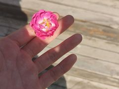 -黄河小浪底水利枢纽风景区