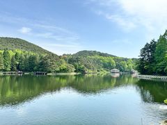 -庐山风景区花径公园