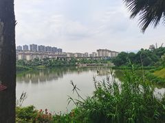 -枫香湖儿童公园