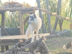 -祥源·阜阳生态乐园