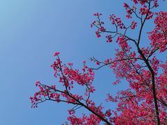 -凤凰沟景区