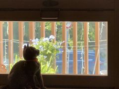 -邢家锅贴老店·非遗·开封菜(金明广场店)