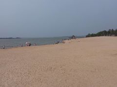 -瑶湖郊野森林公园