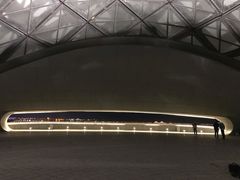 -哈尔滨大剧院