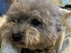 -安徒生活·DIY手工坊