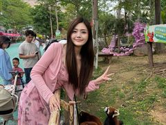 -灵玲国际马戏城