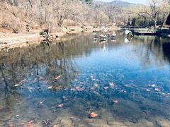 -棒棰岛宾馆景区