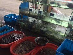 -海尚韵舍海景餐厅(朱家尖店)