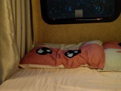 -崇明东平国家森林公园烧烤房车露营地