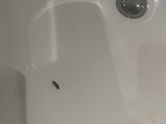 -国家会议中心大酒店