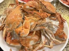 螃蟹-禾斗海鲜自助(市南银座店)