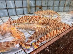 -港澳德兴火锅海鲜酒家(殷皇子店)