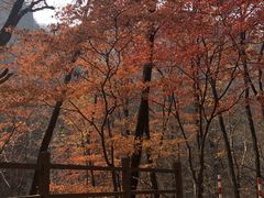 -本溪汤沟绿石谷森林公园