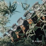 救命🆘曲廊院的甜品简直不要太绝了‼️