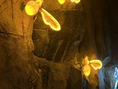 -正佳雨林生态植物园