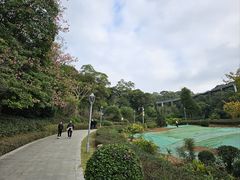 -金鸡山公园