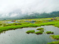 -腾冲北海湿地
