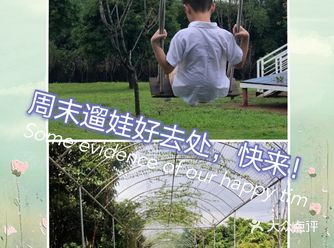 周末来格林东庄，玩森林滑草~