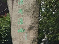 -溱湖国家湿地公园