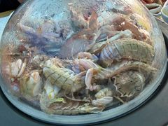 -王潮活海鲜自助·蒸汽海鲜