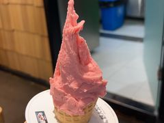 -野人先生现做冰淇淋(北京顺义祥云小镇店)
