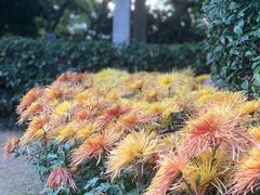 -汇龙潭