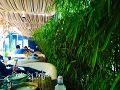 iphone_upload_pic-慢丽江·庭院云南火锅(付家庄店)