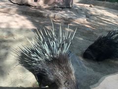 -青藏高原野生动物园