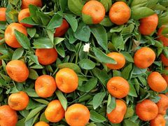 -蓬客精品酒店(南山海岸城购物中心店)