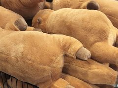 -BIGOFFS 超级折扣(仁恒伊势丹店)