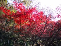-南京市江宁方山