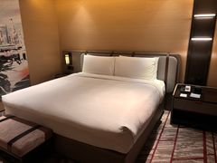 -新加坡瑞士史丹福酒店