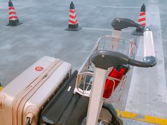 场地-上海浦东国际机场T1航站楼-P1停车场