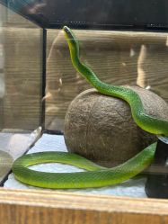 -Zoolung Zoolung动物主题公园(海信广场店)