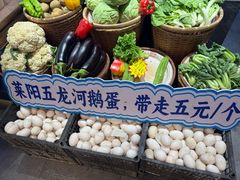 -单家老院·院子里的青岛菜(沙子口店)