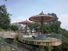 -铁山坪森林公园