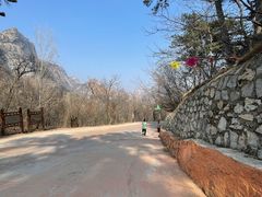 -大芦花风景区