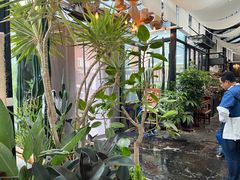 -北马山庄植趣咖啡