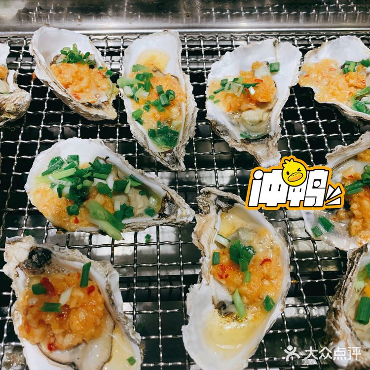 超满足｜生蚝🦪自由