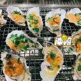 超满足｜生蚝🦪自由