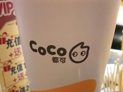 -CoCo都可(安河桥华联店)