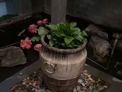 -韵道养生.足道.按摩.SPA(古美店)