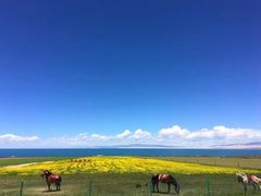 -青海湖国家重点风景名胜区售票处