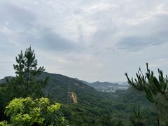 -灵岩山风景区