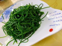 -靖远尕六美味羊羔肉